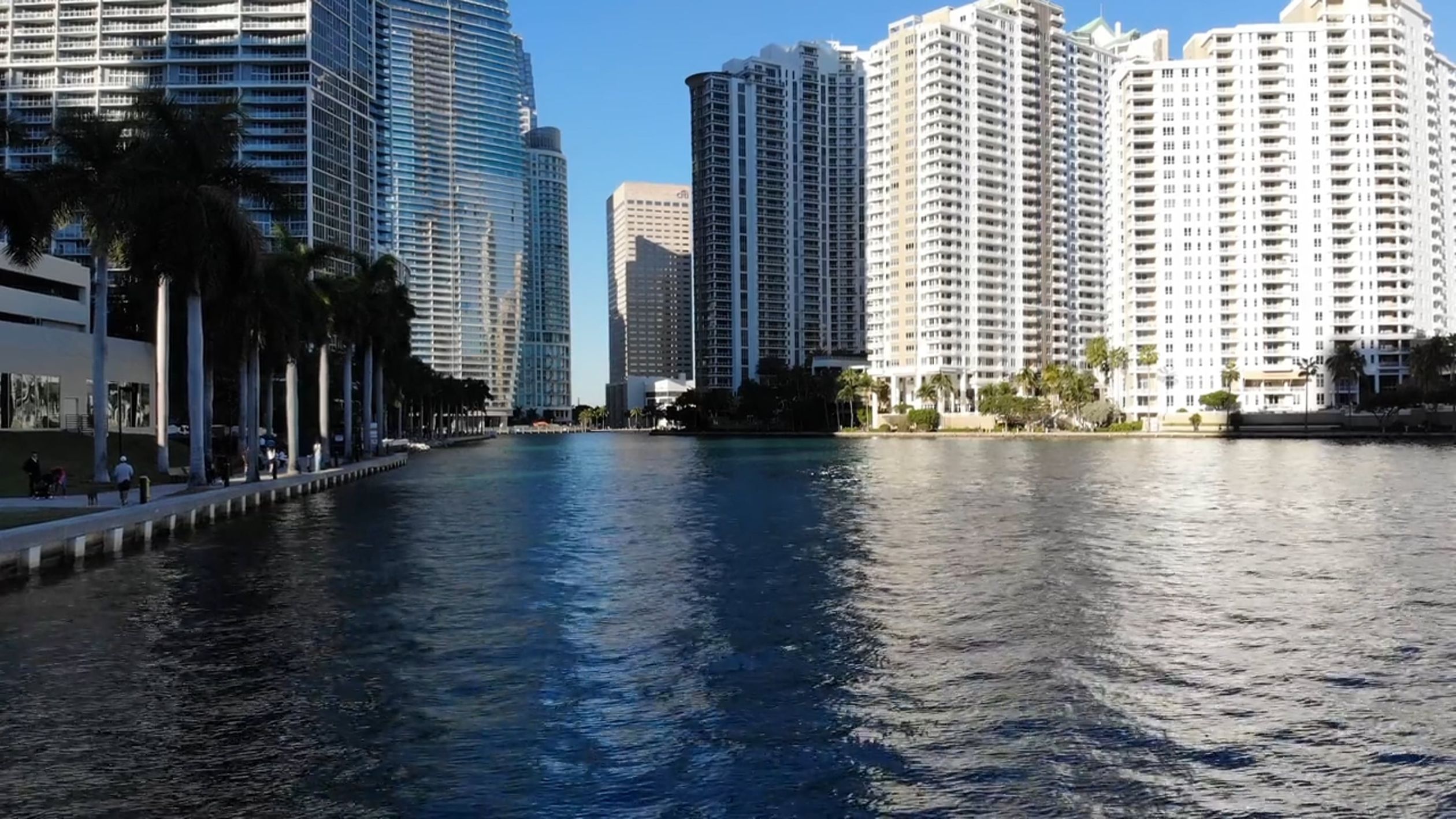 Miami waterfront with blue water, palm trees, and high-rise buildings